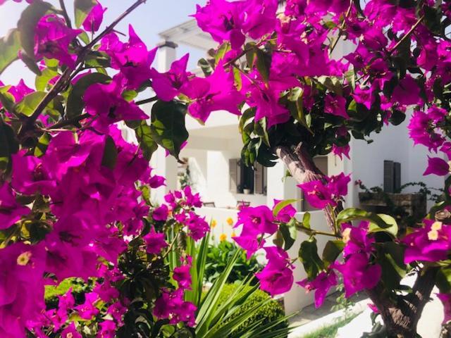La Bastide Skyros Exterior foto