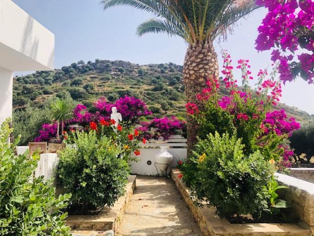 La Bastide Skyros Exterior foto